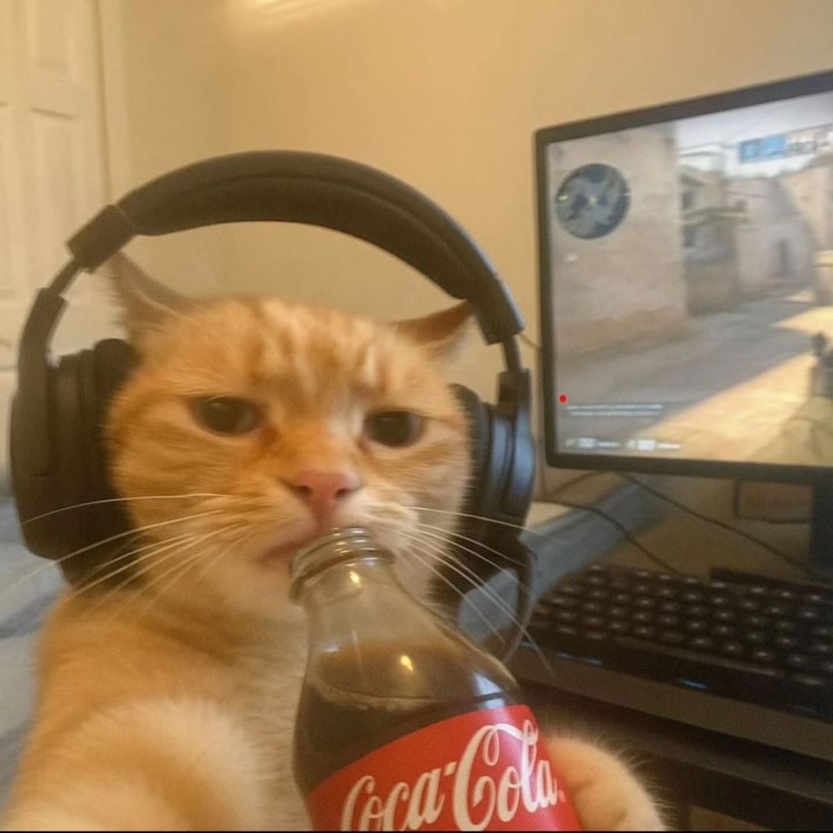Memes